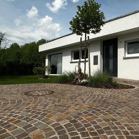 Moderne Ferienwohnung Rhenum Mit Wallbox Waldshut-Tiengen Buitenkant foto