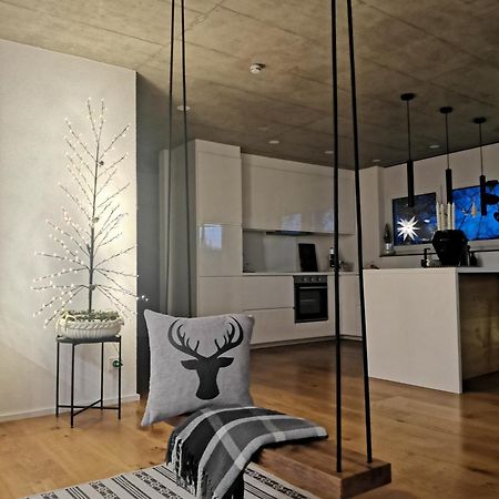 Moderne Ferienwohnung Rhenum Mit Wallbox Waldshut-Tiengen Buitenkant foto