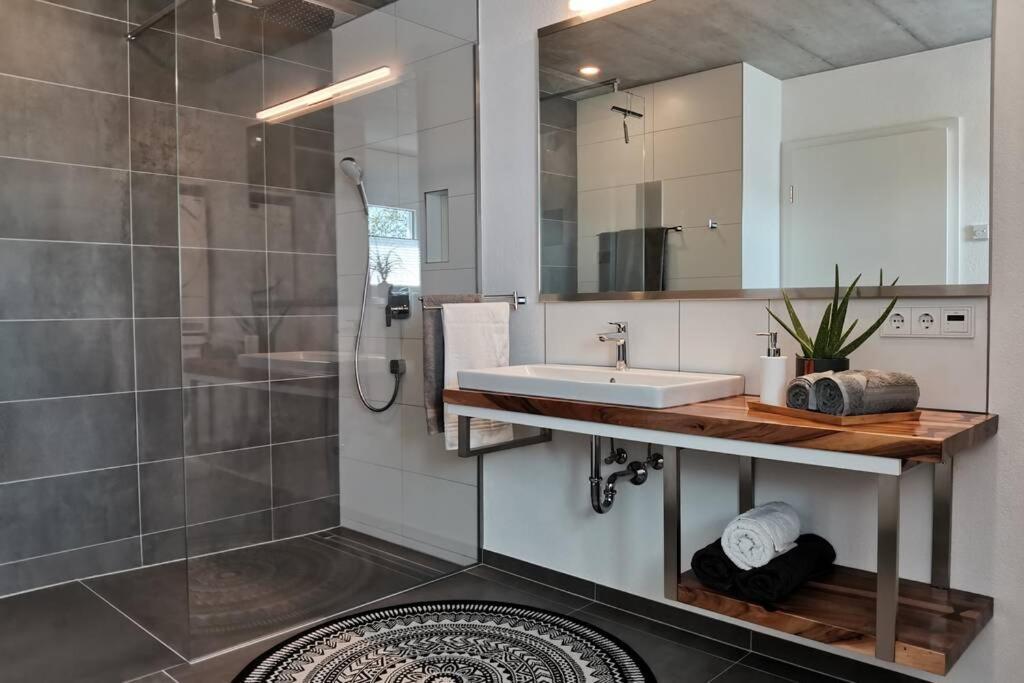 Moderne Ferienwohnung Rhenum Mit Wallbox Waldshut-Tiengen Buitenkant foto
