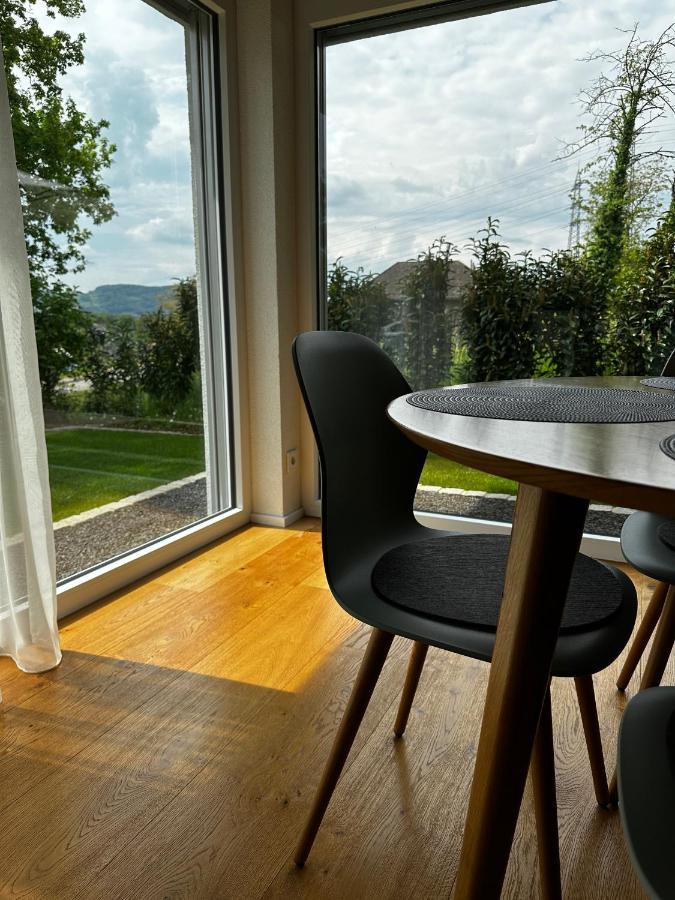 Moderne Ferienwohnung Rhenum Mit Wallbox Waldshut-Tiengen Buitenkant foto