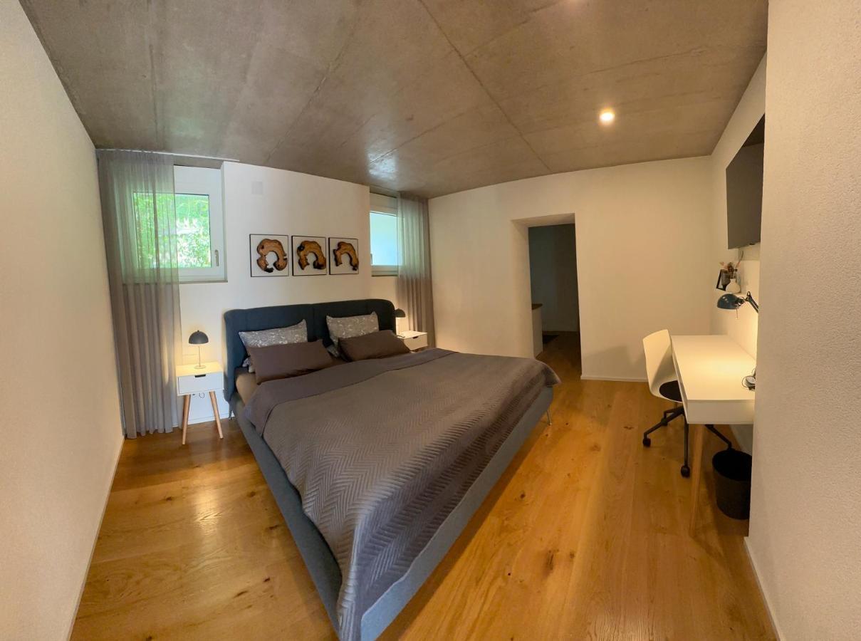 Moderne Ferienwohnung Rhenum Mit Wallbox Waldshut-Tiengen Buitenkant foto