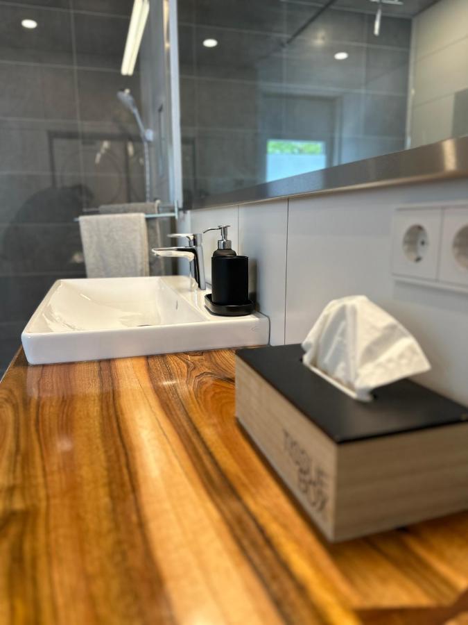 Moderne Ferienwohnung Rhenum Mit Wallbox Waldshut-Tiengen Buitenkant foto