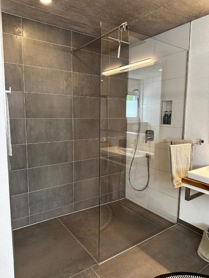 Moderne Ferienwohnung Rhenum Mit Wallbox Waldshut-Tiengen Buitenkant foto