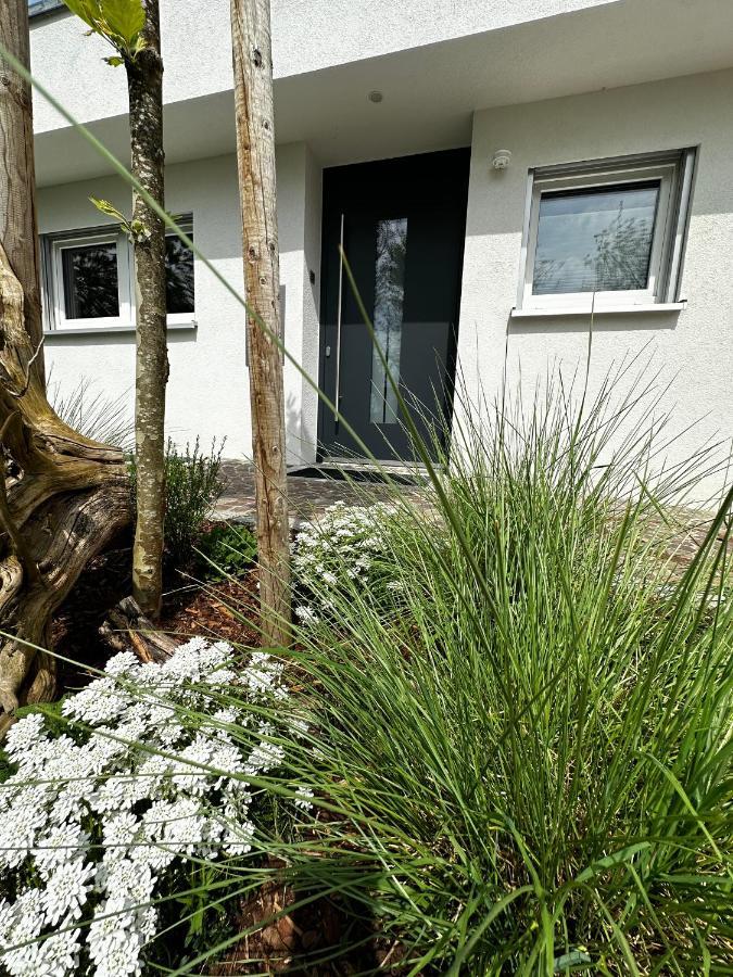 Moderne Ferienwohnung Rhenum Mit Wallbox Waldshut-Tiengen Buitenkant foto