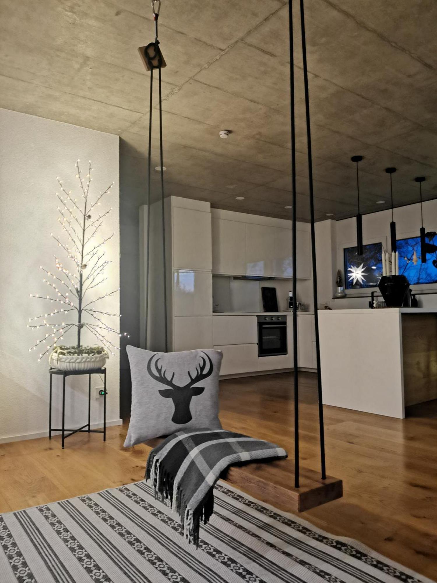 Moderne Ferienwohnung Rhenum Mit Wallbox Waldshut-Tiengen Buitenkant foto