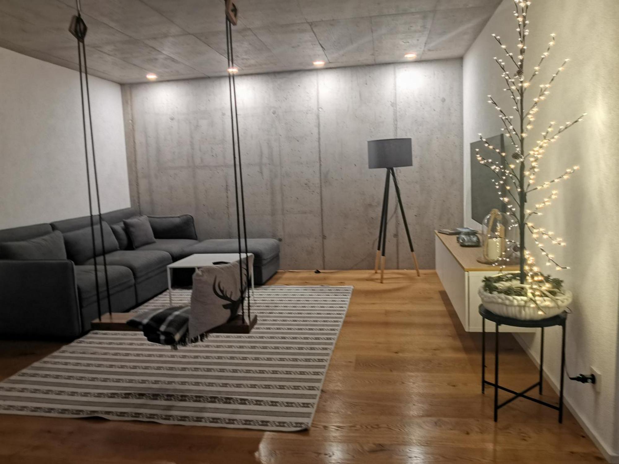 Moderne Ferienwohnung Rhenum Mit Wallbox Waldshut-Tiengen Buitenkant foto